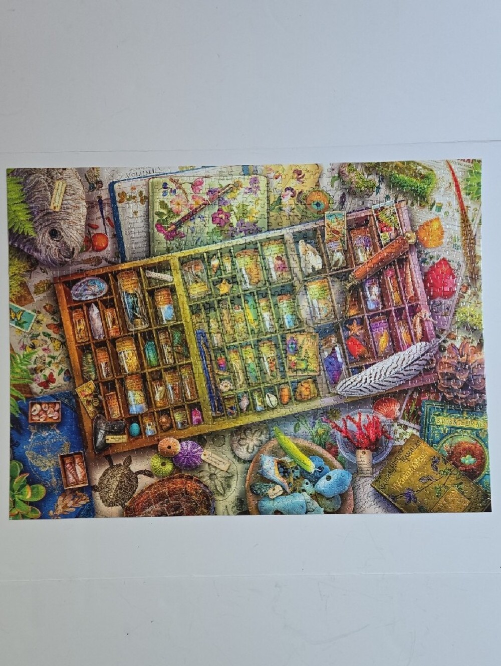 Aimee Stewart Puzzle Buffalo The Naturalist's Collection Jigsaw Puzzle 1000 Pcs - Picture 8 of 16